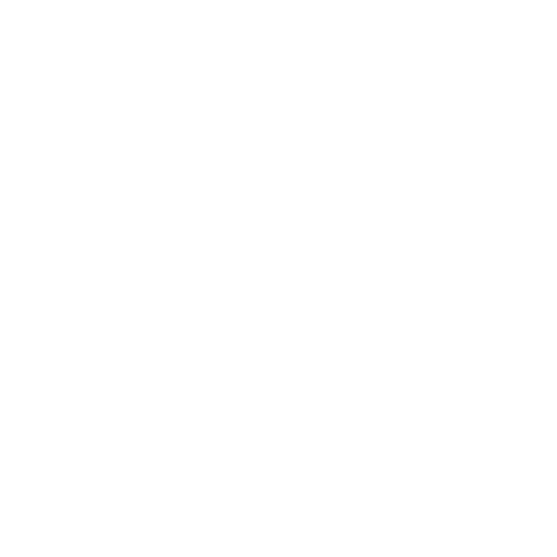 SECUR AFRIC